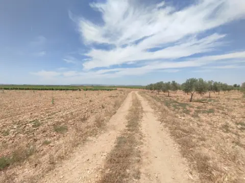 Finca rústica en Membrilla